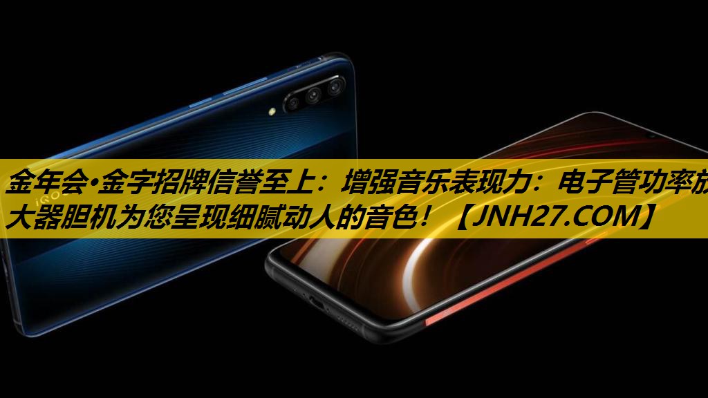 金年会·金字招牌信誉至上：增强音乐表现力：电子管功率放大器胆机为您呈现细腻动人的音色！