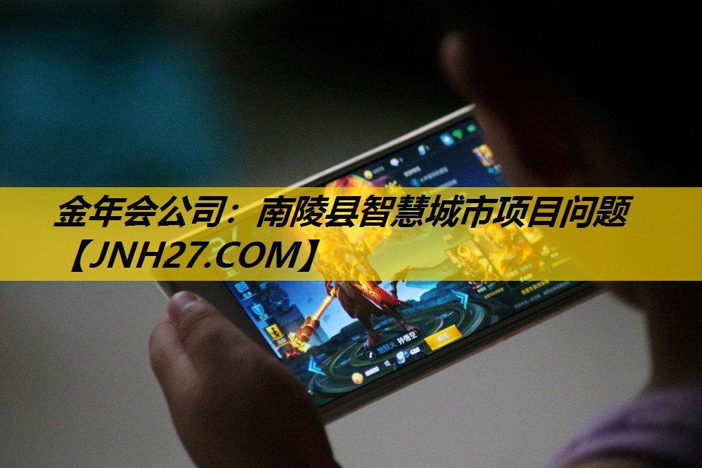 南陵县智慧城市项目问题
