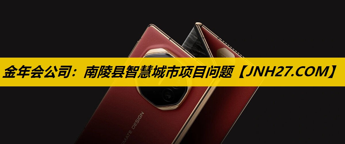 南陵县智慧城市项目问题