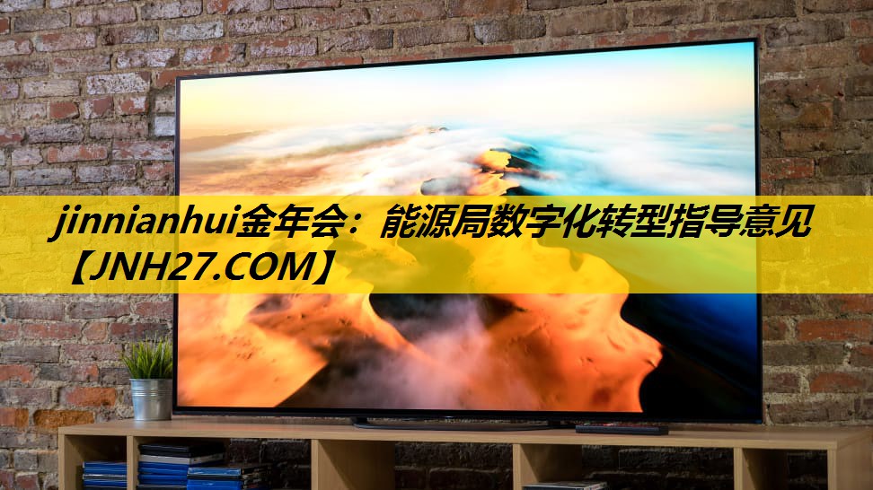 能源局数字化转型指导意见 能源局数字化转型指导意见
